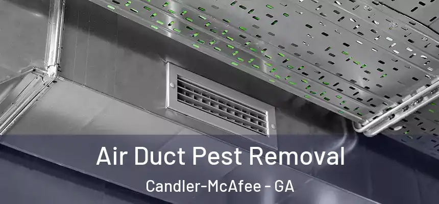 Air Duct Pest Removal Candler-McAfee - GA