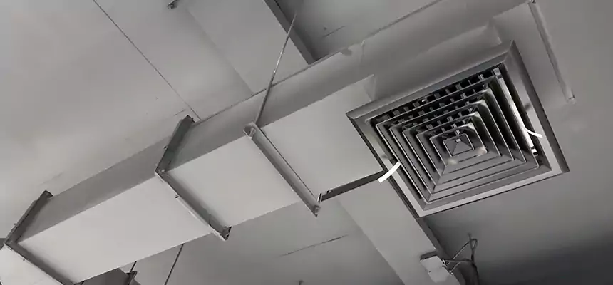 Our Rodent Droppings In Vents Services in Candler-McAfee, GA