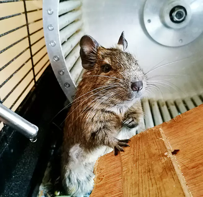 Why Homeowners & Businesses Trust Us Candler-McAfee, GA