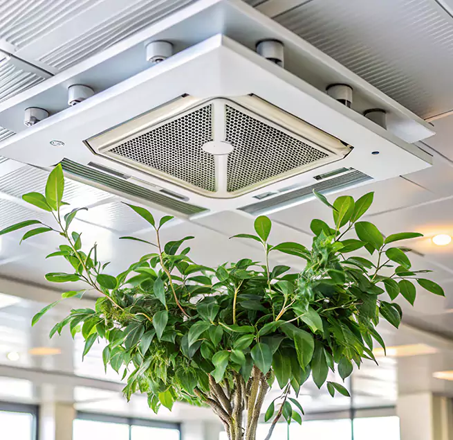 Why Homeowners & Businesses Trust Us in Candler-McAfee, GA?